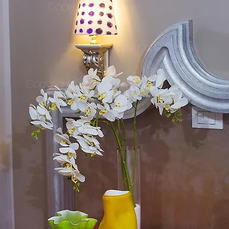 Affittacamere Al Volo Tommaseo Trieste